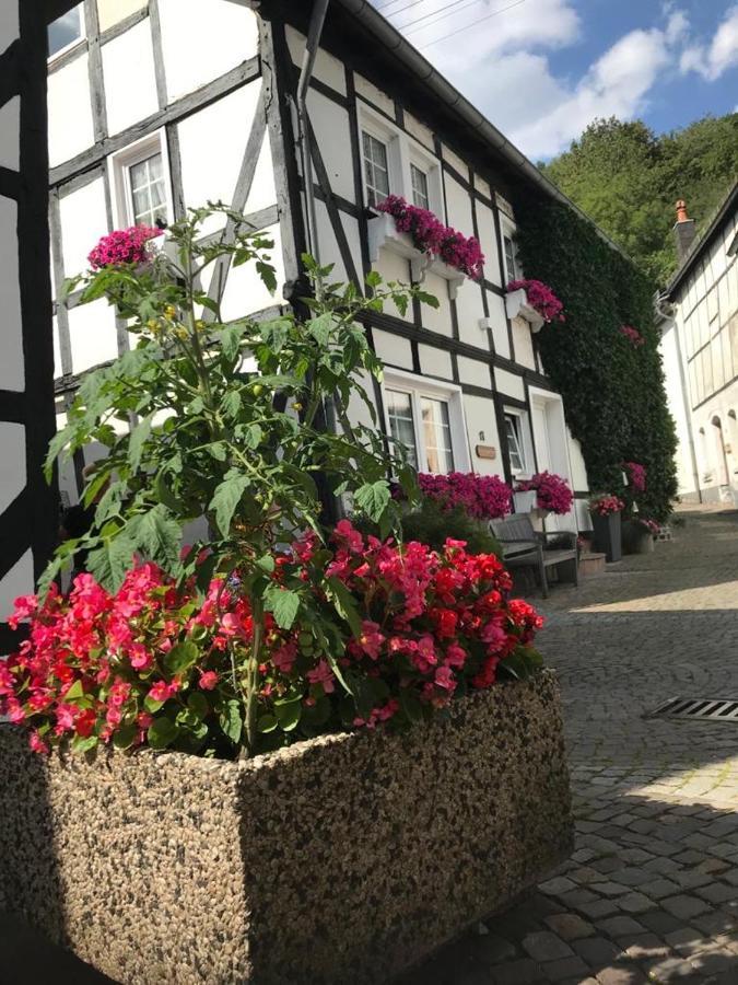 Ferienapartment: An Der Kunstakademie Heimbach Exteriör bild